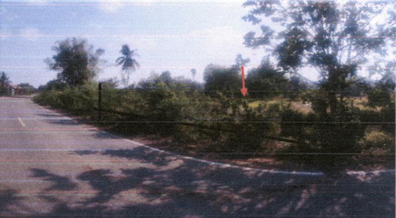 บึงกระจับ วิเชียรบุรี เพชรบูรณ์