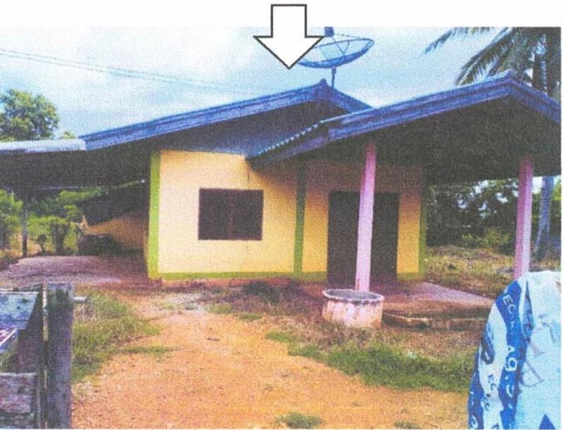 นาเฉลียง หนองไผ่ เพชรบูรณ์