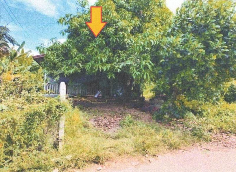 ป่าเลา เมืองเพชรบูรณ์ เพชรบูรณ์