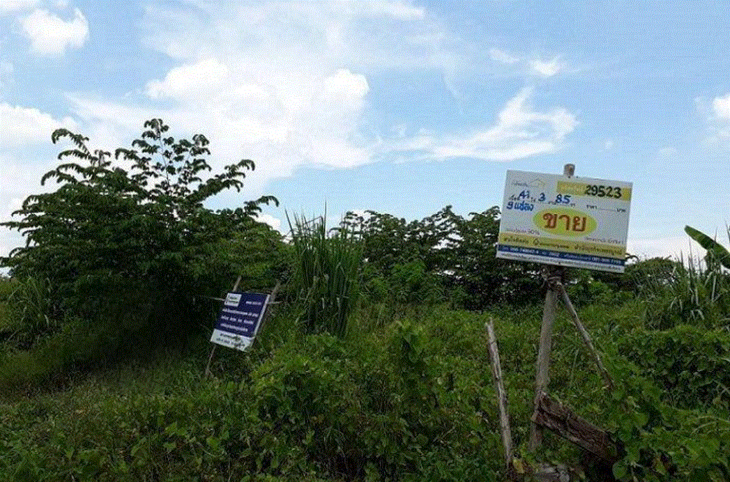 ที่ดินหลุดจำนอง ธ.ธนาคารกรุงเทพ บ้านโตก เมืองเพชรบูรณ์ เพชรบูรณ์